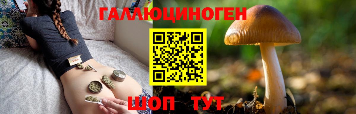 Псилоцибиновые грибы MAGIC MUSHROOMS  Вход с VPN  Псилоцибиновые грибы Psilocybine cubensis  Иваново 